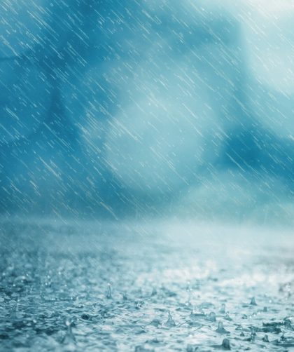 Ordre des saisons et le secret d'une répartition harmonieuse