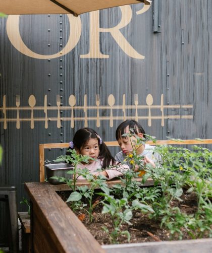 Créer des jardinières en palette est une solution écologique et économique pour votre jardin