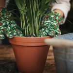 choisir un pot en terre cuite extérieur pour votre jardin