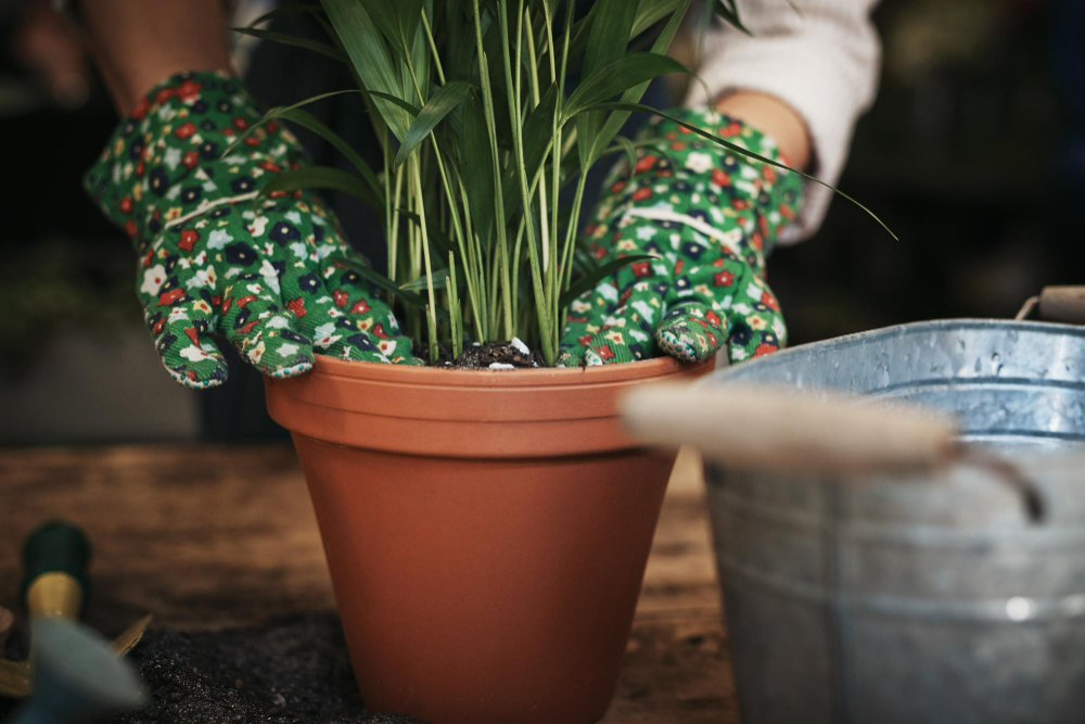 choisir un pot en terre cuite extérieur pour votre jardin